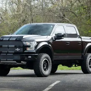 2017 Ford Shelby F-150